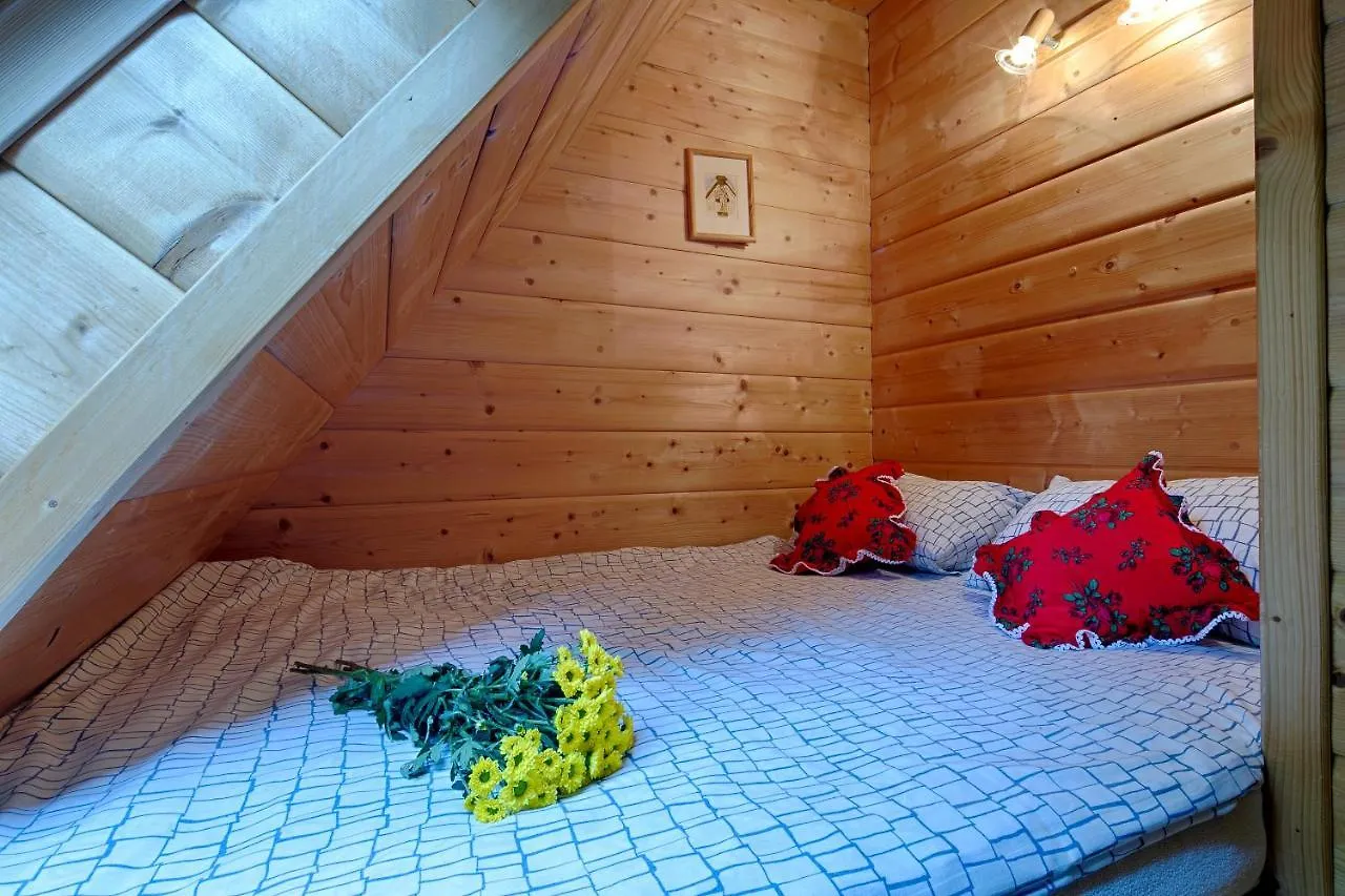 Domek regionalny Akwarela centrum sauna Zakopane Polska