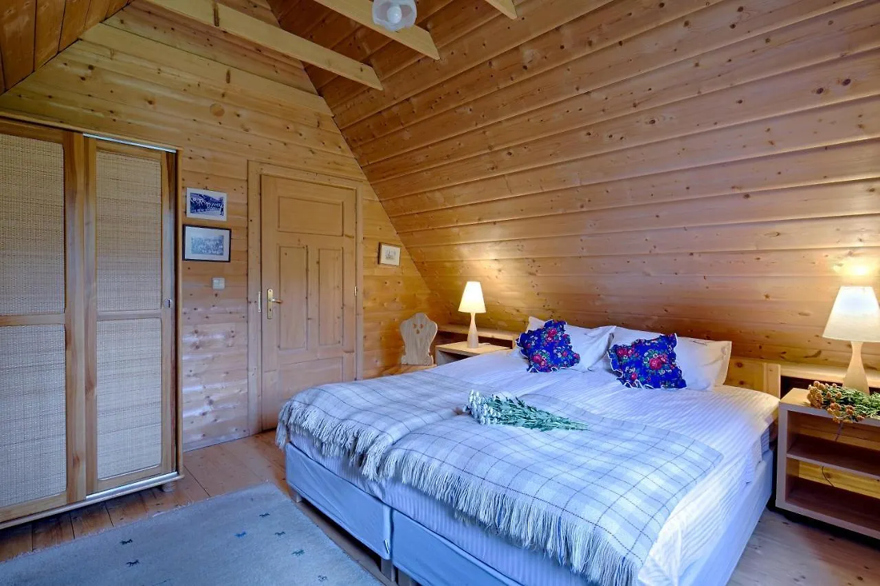Domek alpejski Domek regionalny Akwarela centrum sauna Zakopane